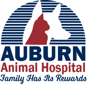 Auburn Animal Hospital