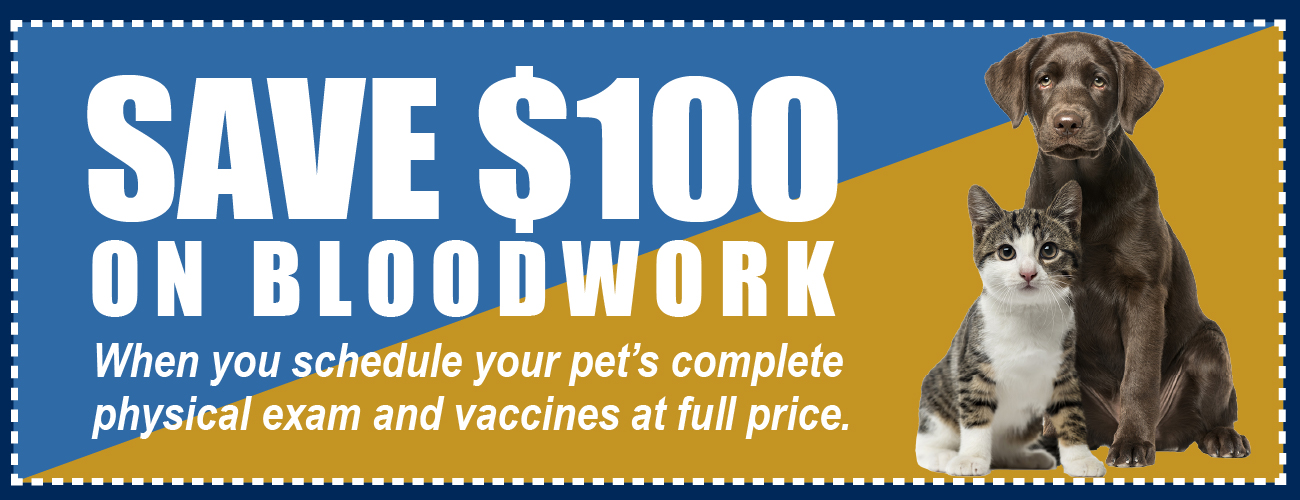 Get discounts on bloodwork and wellness check when you use the coupon code